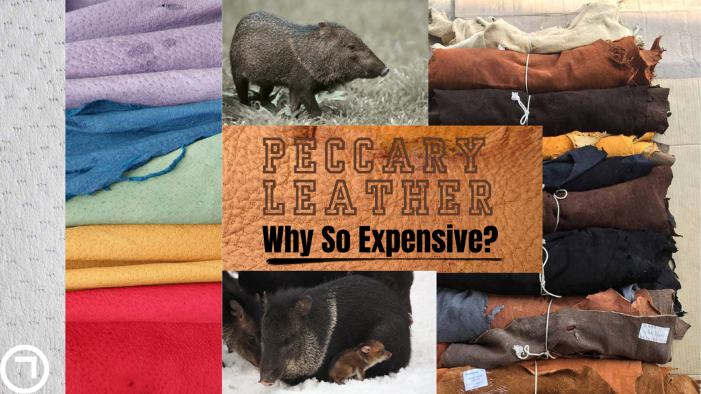 Collage showing peccary animals and stacks of dyed leather hides, highlighting the rare source material and craftsmanship behind expensive peccary leather.