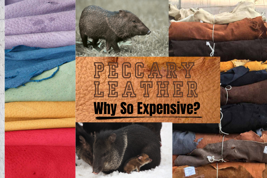 Collage showing peccary animals and stacks of dyed leather hides, highlighting the rare source material and craftsmanship behind expensive peccary leather.